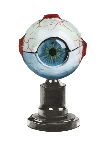 Anatomical model of an eye, 2022
